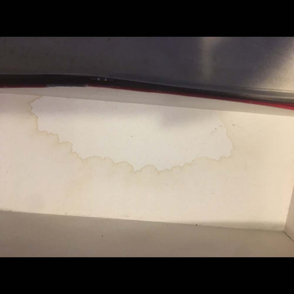 Vintage Real Rose Dipped In 24k Gold. 15+Years Old - image 7